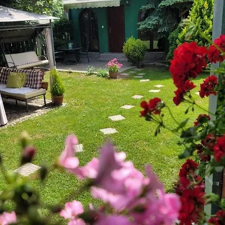 Tiny Green House In Daire