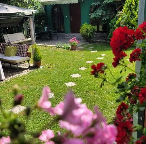 Tiny Green House In Апартаменты